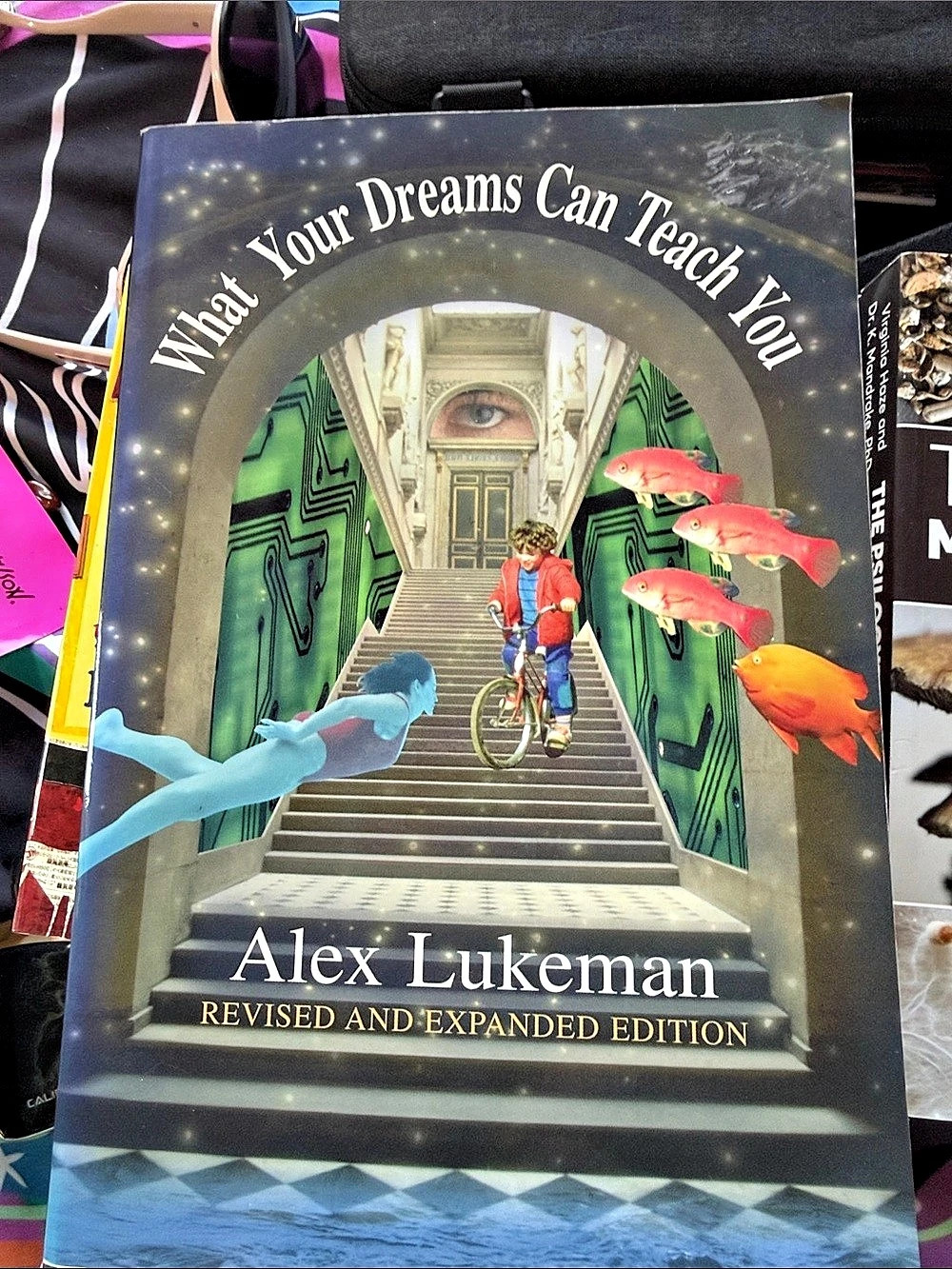 What Your Dreams Can Teach You Alex Lukeman Book Print